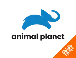 Animal Planet Hindi logo