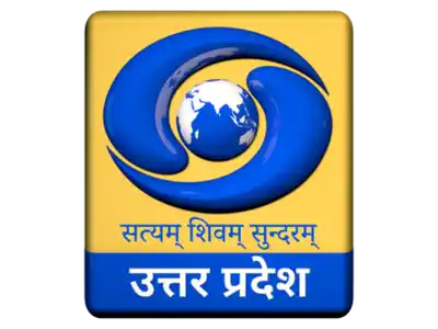 DD UP logo
